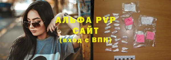 гашик Горняк