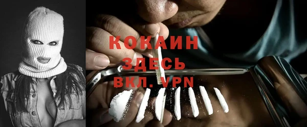 трава Гусев