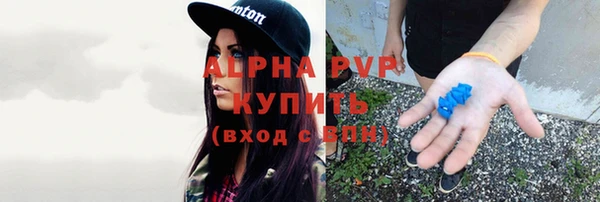 трава Гусев