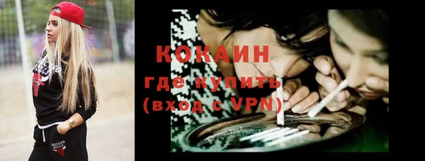 гашик Горняк