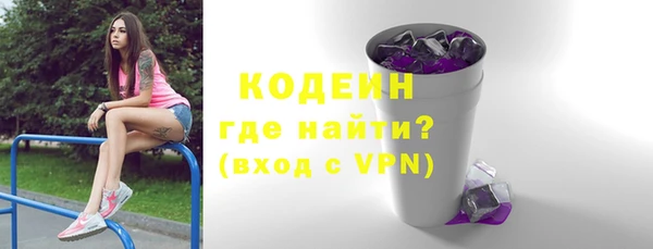 гашик Горняк