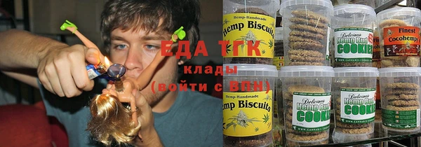гашик Горняк