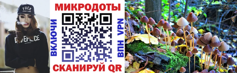 darknet состав  Мончегорск  Псилоцибиновые грибы Psilocybe 