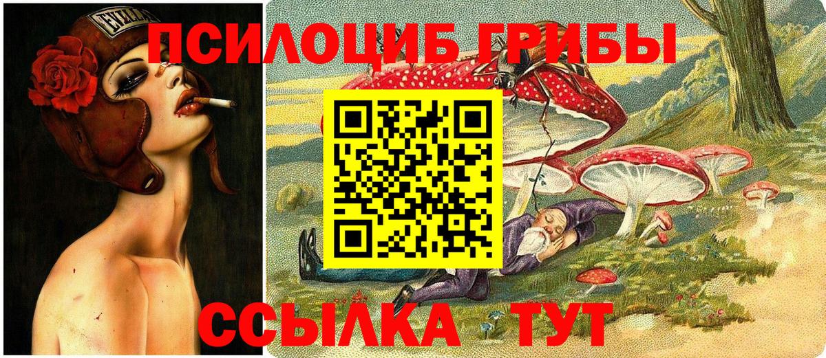 Галлюциногенные грибы Psilocybine cubensis Мончегорск