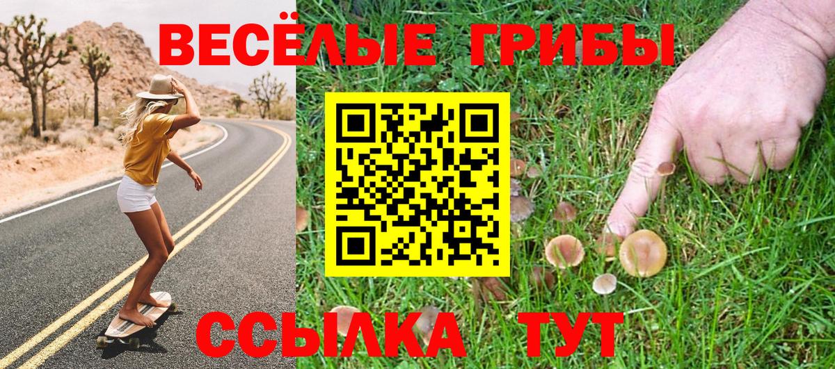 Псилоцибиновые грибы Cubensis  Галлюциногенные грибы GOLDEN TEACHER  Вход с VPN  Мончегорск 